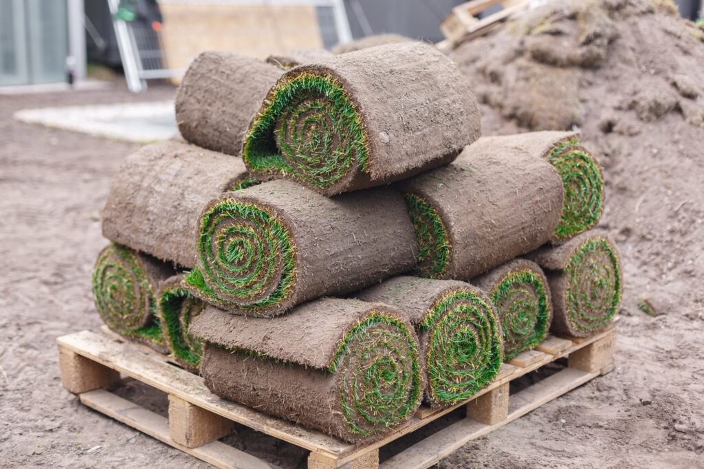 Unrolling Sod for a New Lawn. laying the lawn. Rolls of grass-lawn Unrolling Sod for a New Lawn. laying the lawn. Rolls of grass-lawn
